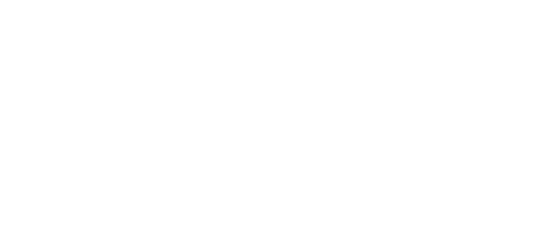 Logotipo branco da Hexsolutions